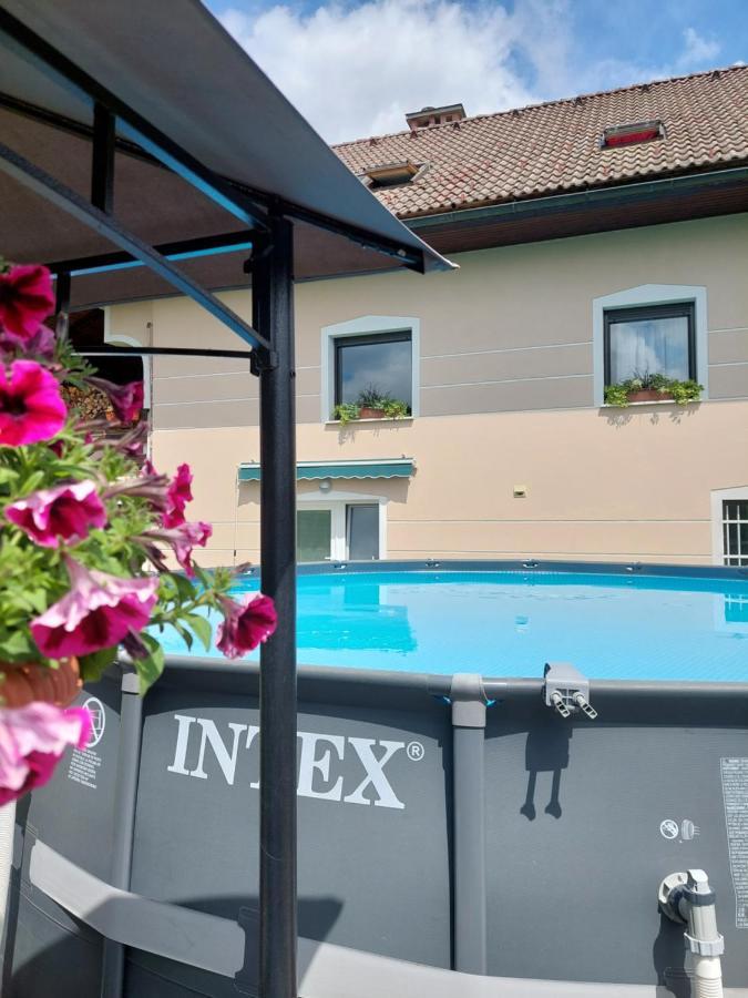 Studio Apartma Zirovnik ツェルクニェ・ナ・ゴレニスケム エクステリア 写真